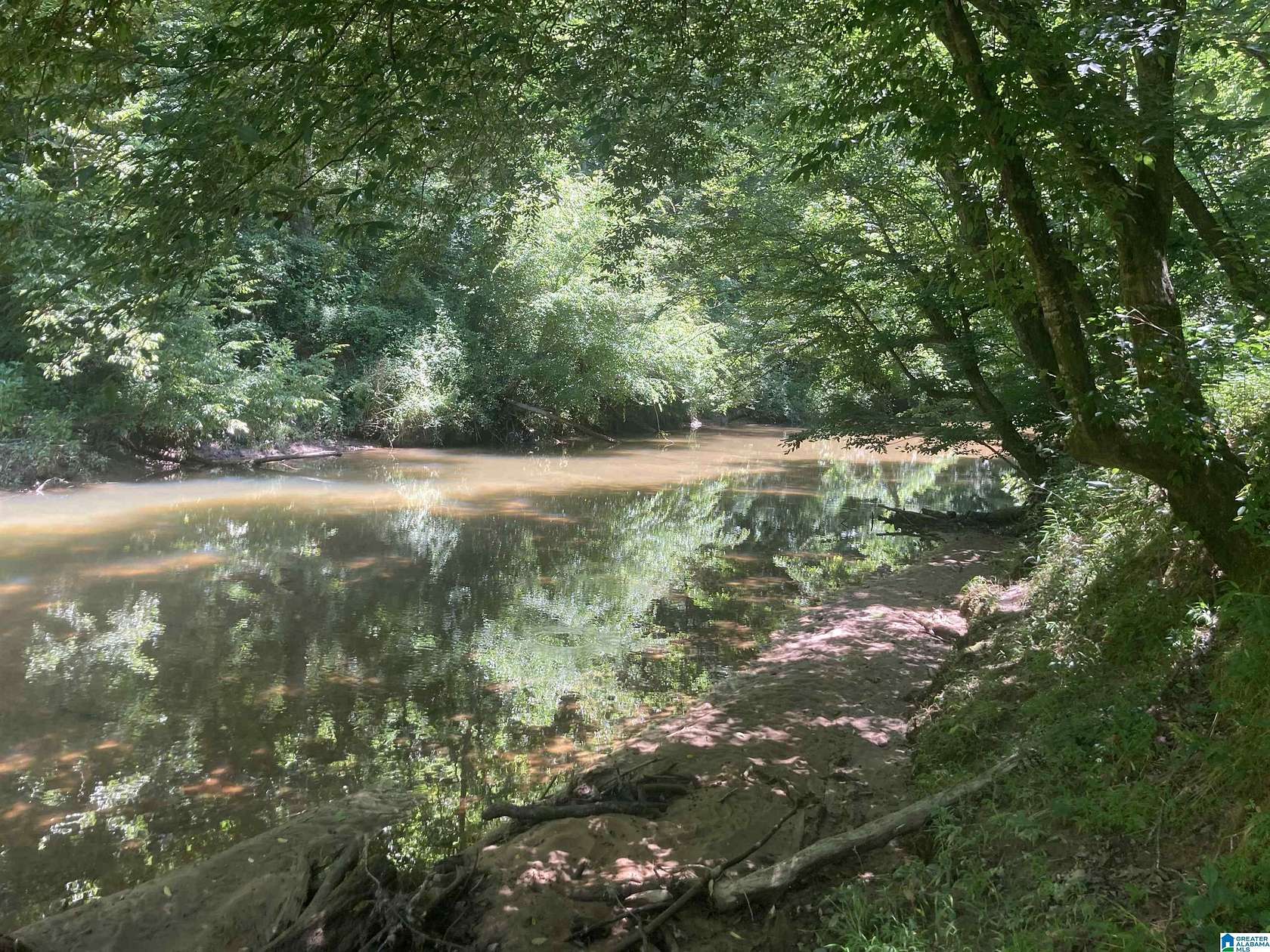 91.8 Acres of Land for Sale in Vinemont, Alabama