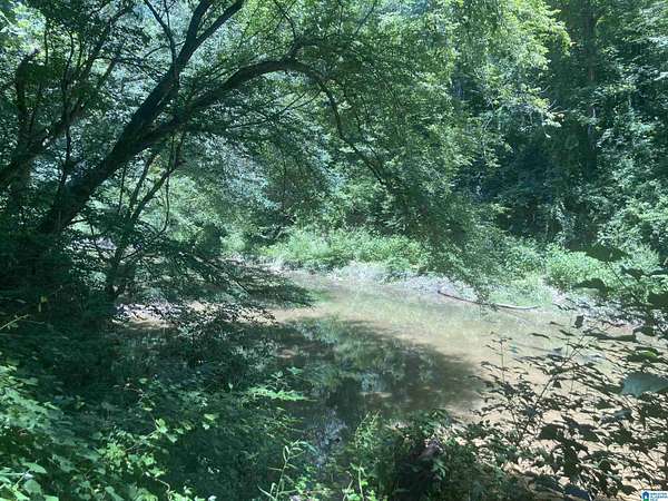 91.8 Acres of Recreational & Residential Land for Sale in Vinemont, Alabama