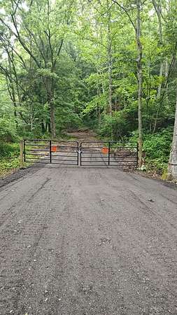 119 Acres of Recreational & Residential Land for Sale in Londonderry, Ohio