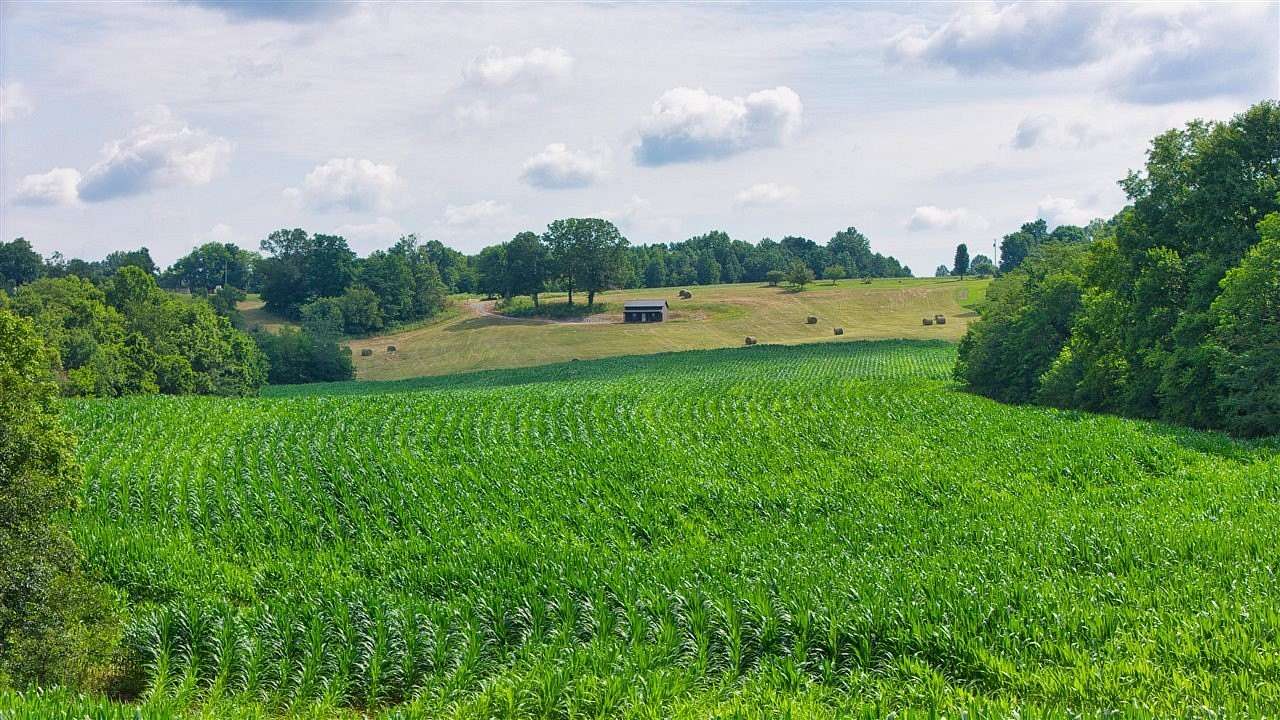 85.9 Acres of Land for Sale in Russellville, Kentucky