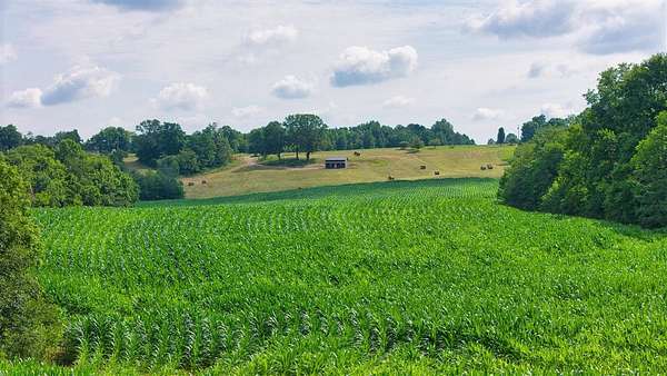85.9 Acres of Land for Sale in Russellville, Kentucky