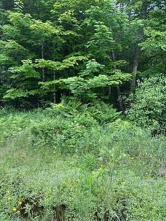 7.3 Acres of Residential Land for Sale in Corinth Town, Maine