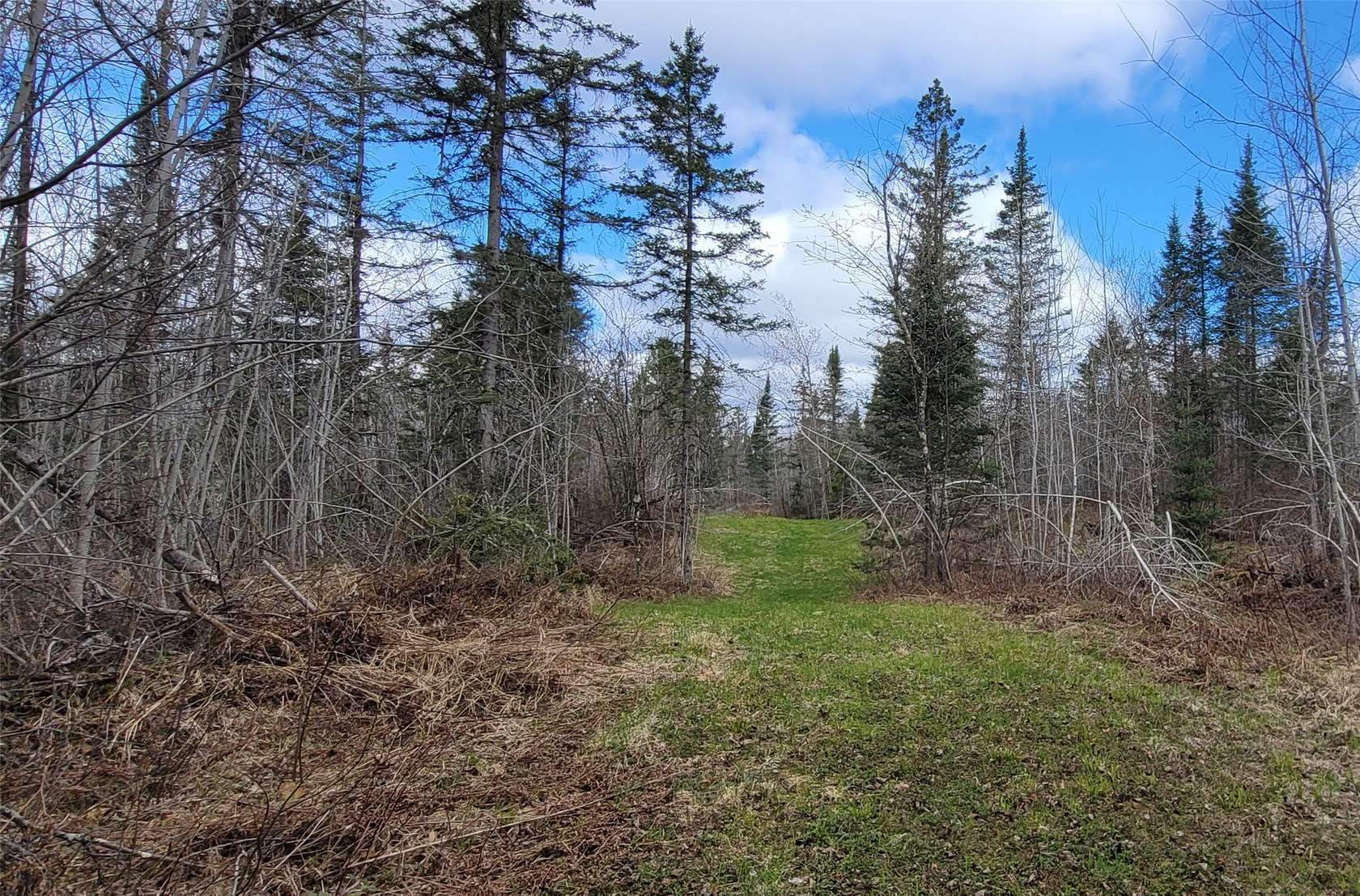 10.3 Acres of Recreational Land for Sale in Hayward Town, Wisconsin