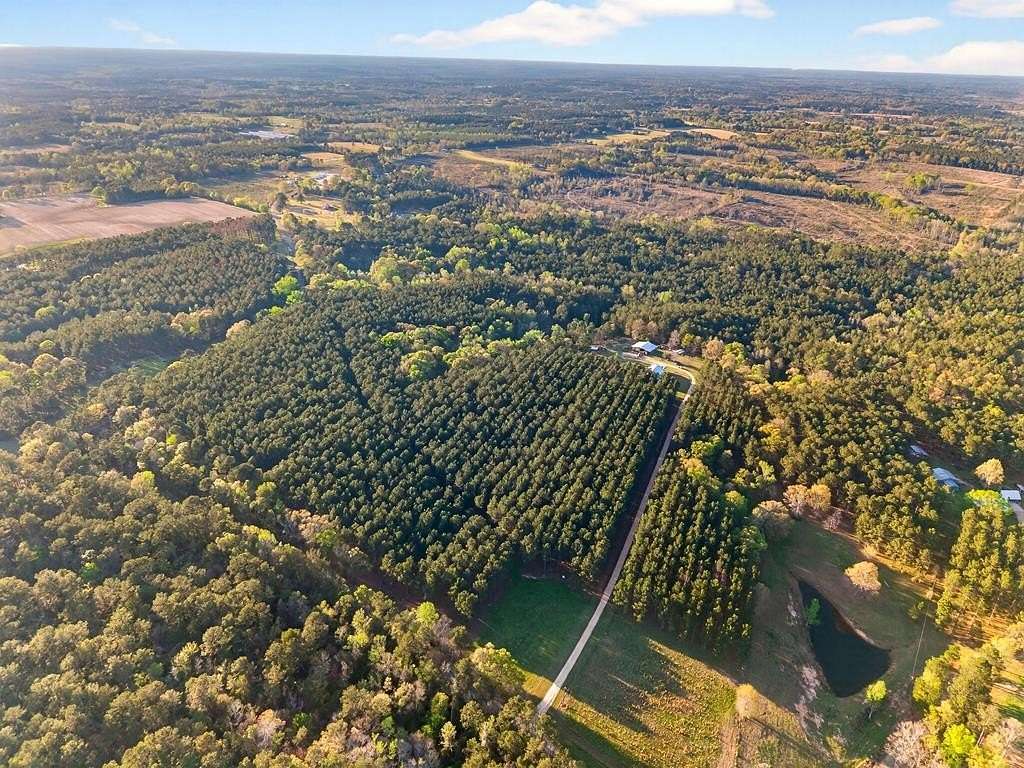 25 Acres of Recreational & Residential Land for Sale in Sandy Hook, Mississippi