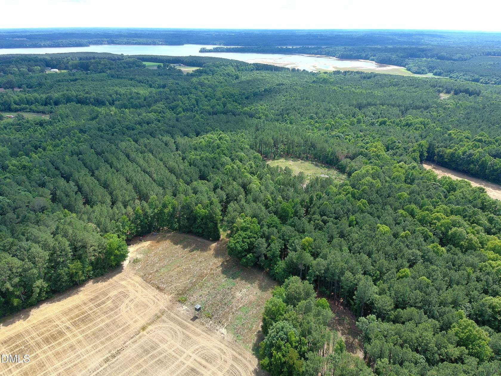 114 Acres of Land for Sale in Bailey, North Carolina