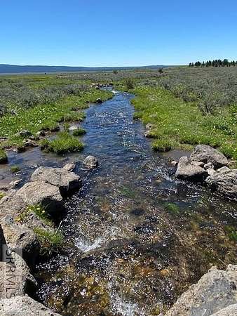 5 Acres of Residential Land for Sale in Island Park, Idaho