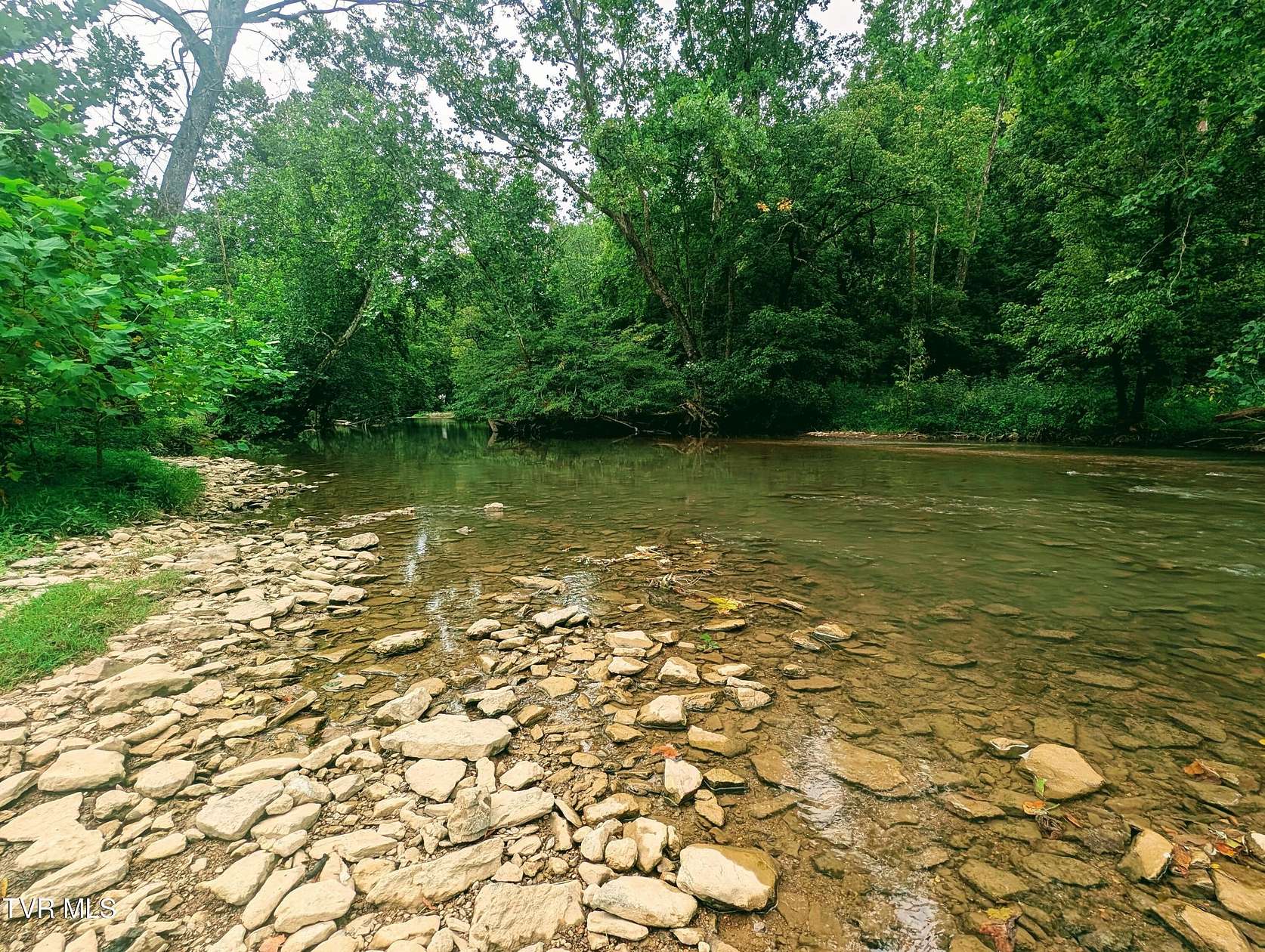 19 Acres of Recreational Land for Sale in Duffield, Virginia