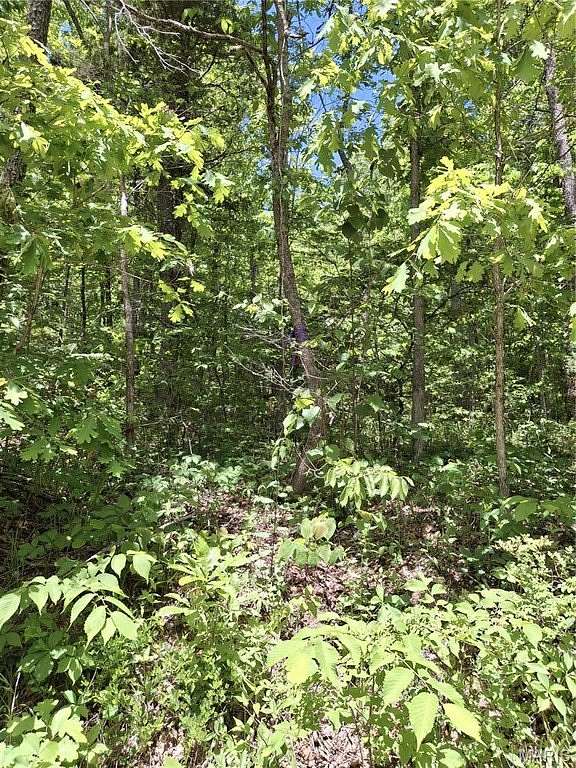 44 Acres of Recreational & Residential Land for Sale in Bunker, Missouri