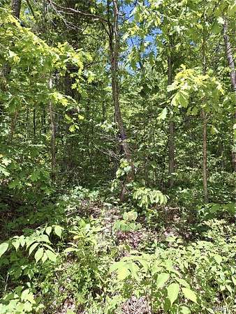 Residential Land for Sale in Bunker, Missouri