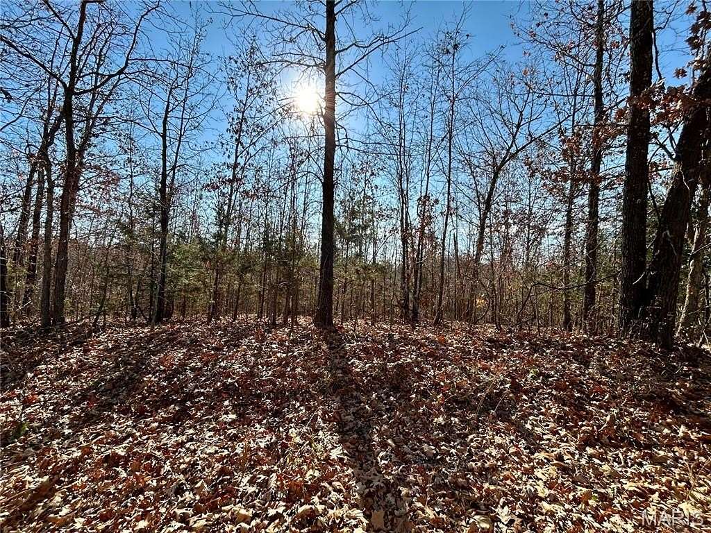 6 Acres of Residential Land for Sale in Salem, Missouri