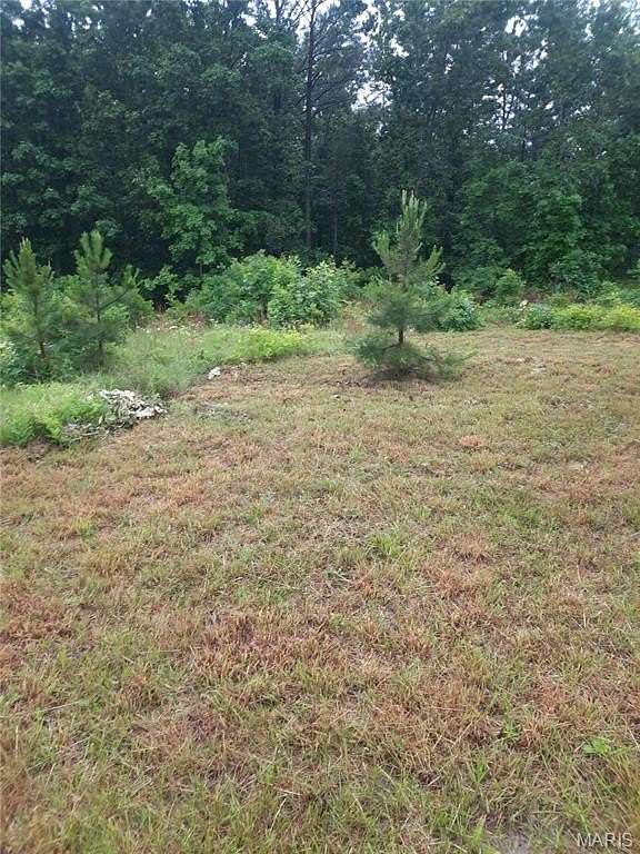 3 Acres of Residential Land for Sale in Salem, Missouri