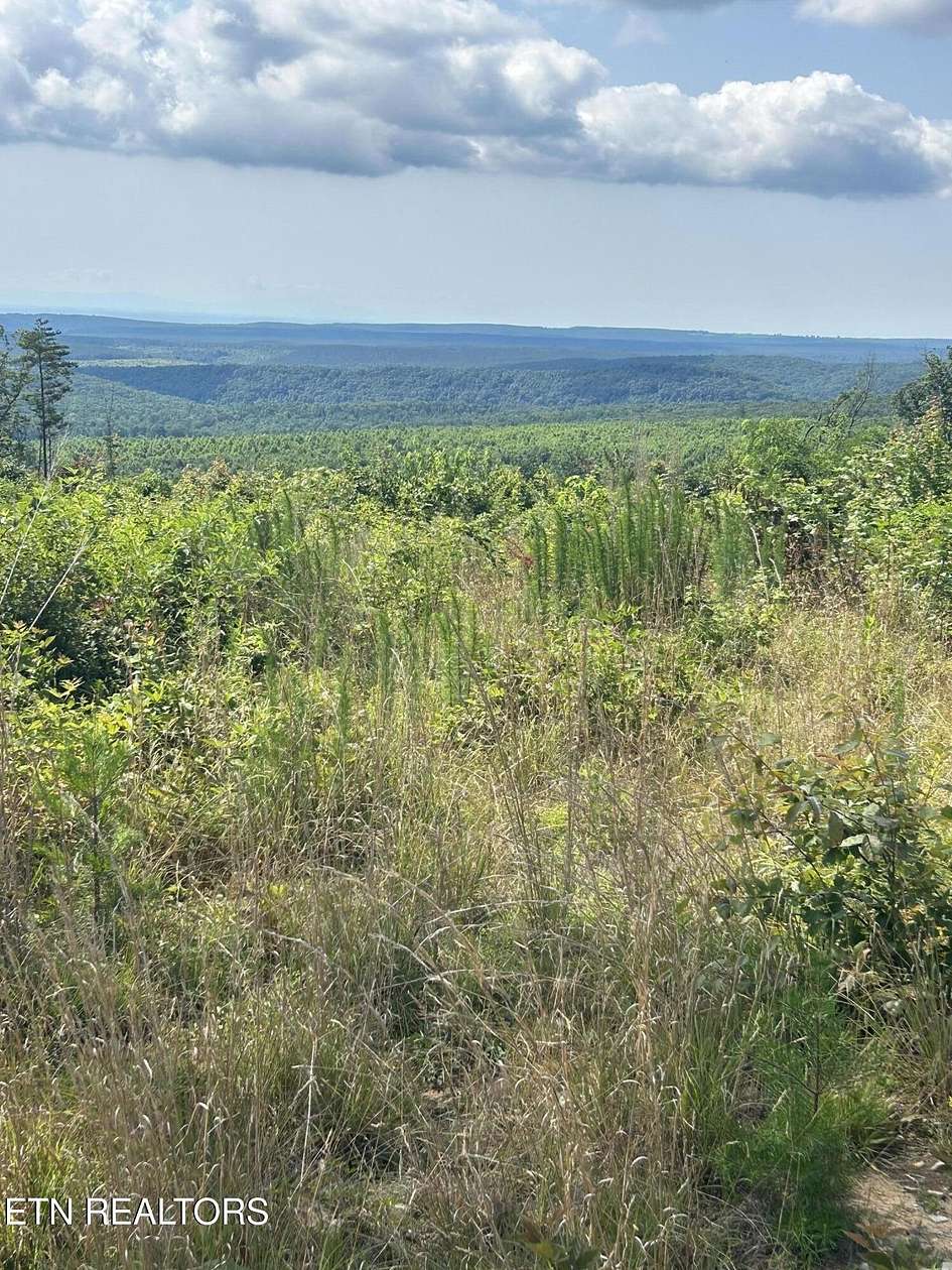 143 Acres of Recreational Land for Sale in Spring City, Tennessee