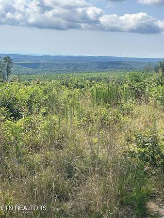 143 Acres of Recreational Land for Sale in Spring City, Tennessee