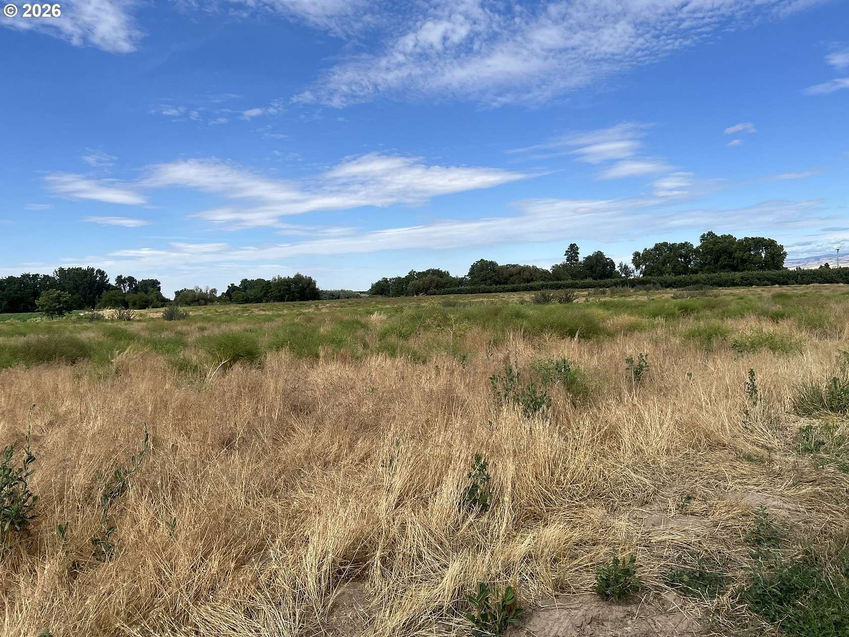 32.8 Acres of Agricultural Land for Sale in Milton-Freewater, Oregon