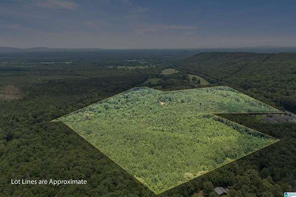 90 Acres of Recreational Land for Sale in Columbiana, Alabama