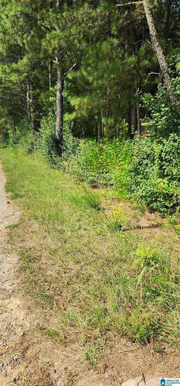 39 Acres of Land for Sale in Oneonta, Alabama