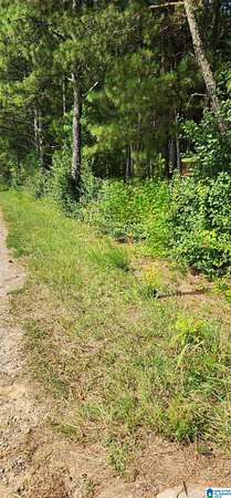39 Acres of Land for Sale in Oneonta, Alabama