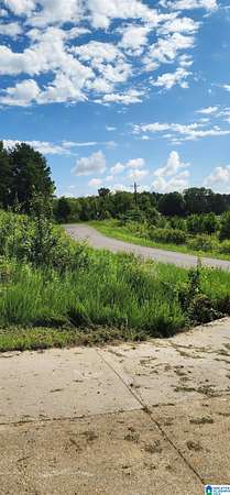 2.4 Acres of Residential Land for Sale in Oneonta, Alabama