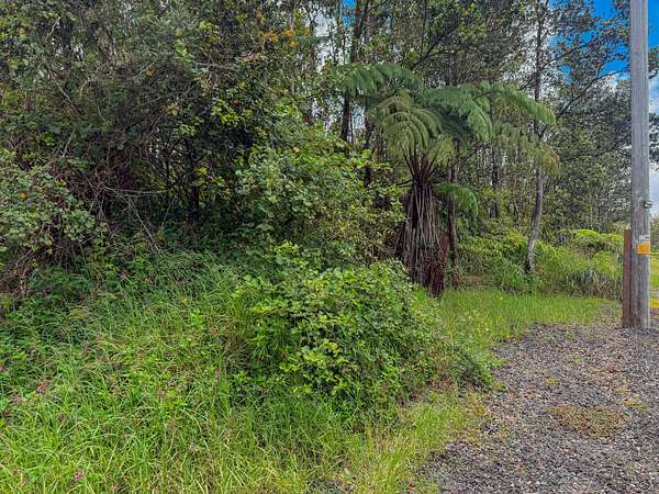 0.49 Acres of Land for Sale in Volcano, Hawaii