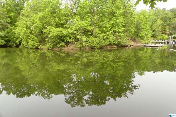 5 Acres of Land for Sale in Wedowee, Alabama