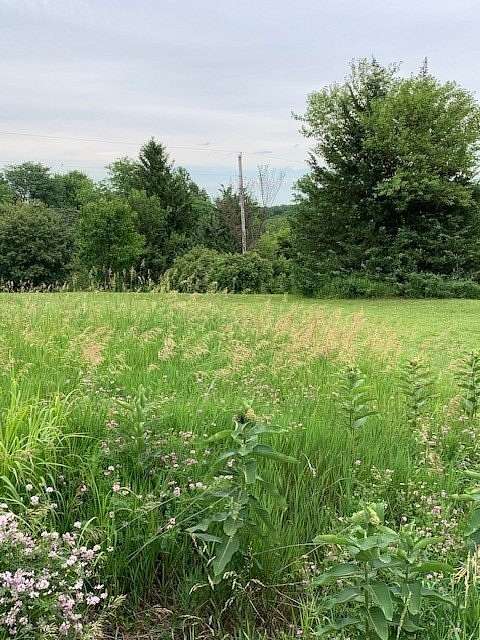 0.6 Acres of Residential Land for Sale in Dexter, Iowa