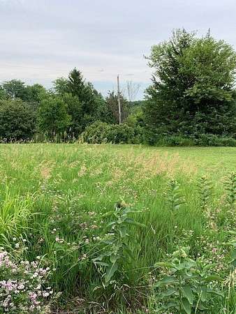 0.6 Acres of Residential Land for Sale in Dexter, Iowa