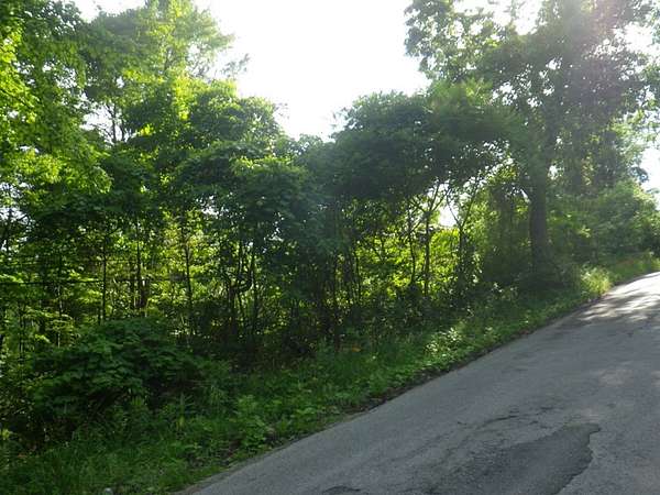 47 Acres of Land for Sale in Northern Cambria, Pennsylvania
