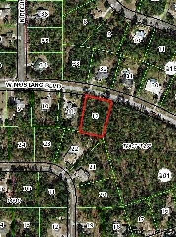 1 Acre of Residential Land for Sale in Beverly Hills, Florida