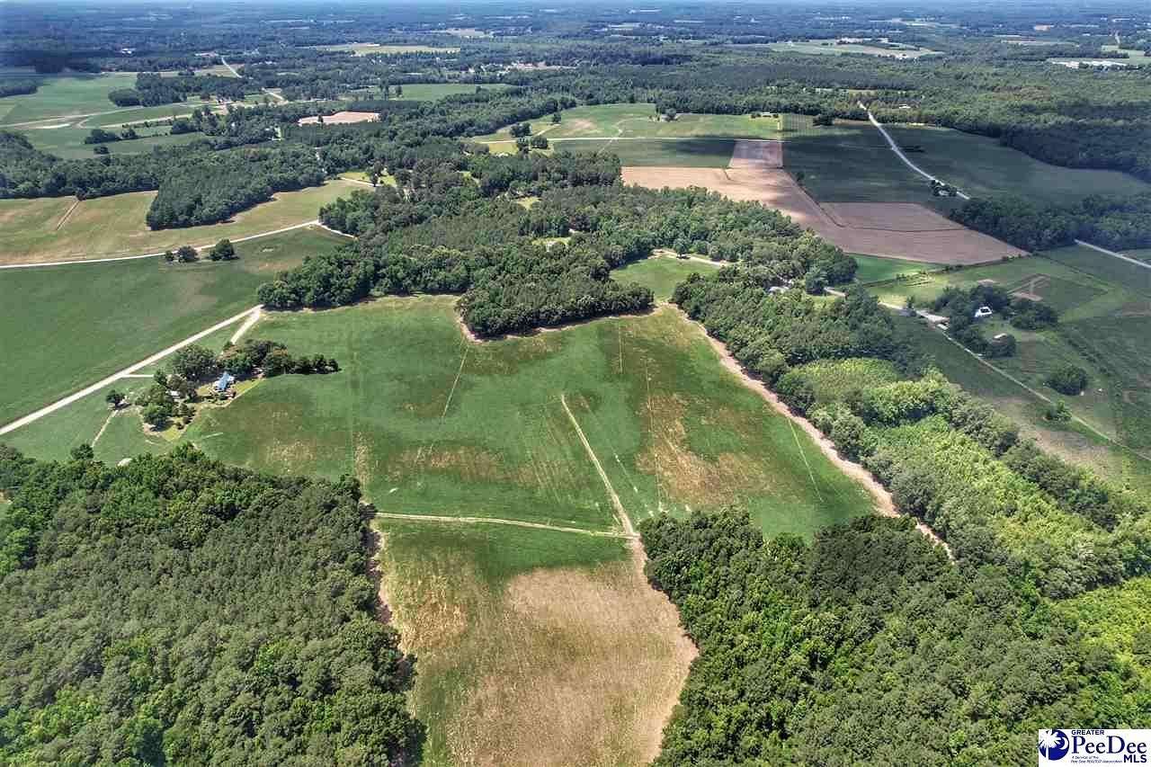 40.4 Acres of Land for Sale in Nichols, South Carolina