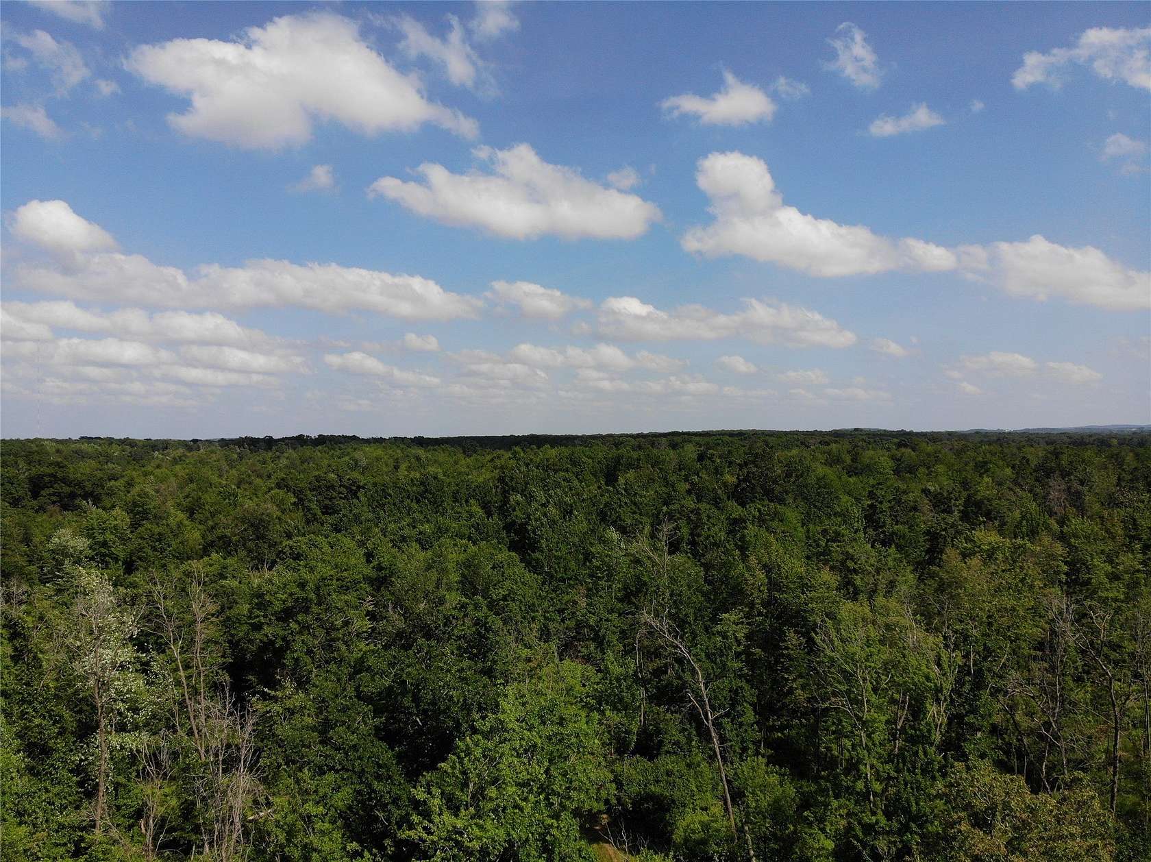 80 Acres of Recreational & Residential Land for Sale in Augusta, Wisconsin