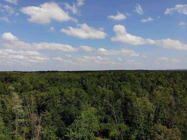 80 Acres of Recreational & Residential Land for Sale in Augusta, Wisconsin