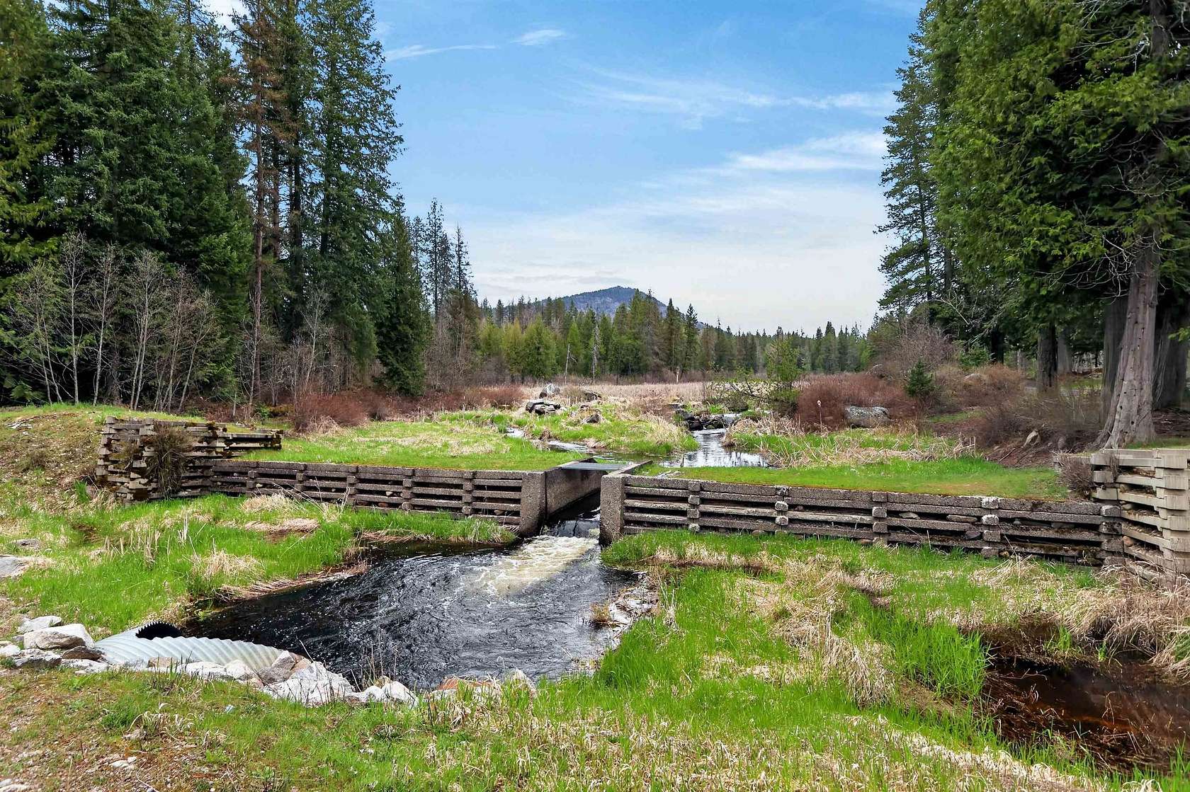 4.2 Acres of Residential Land for Sale in Newport, Washington