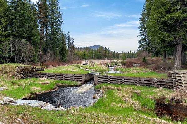 4.2 Acres of Residential Land for Sale in Newport, Washington