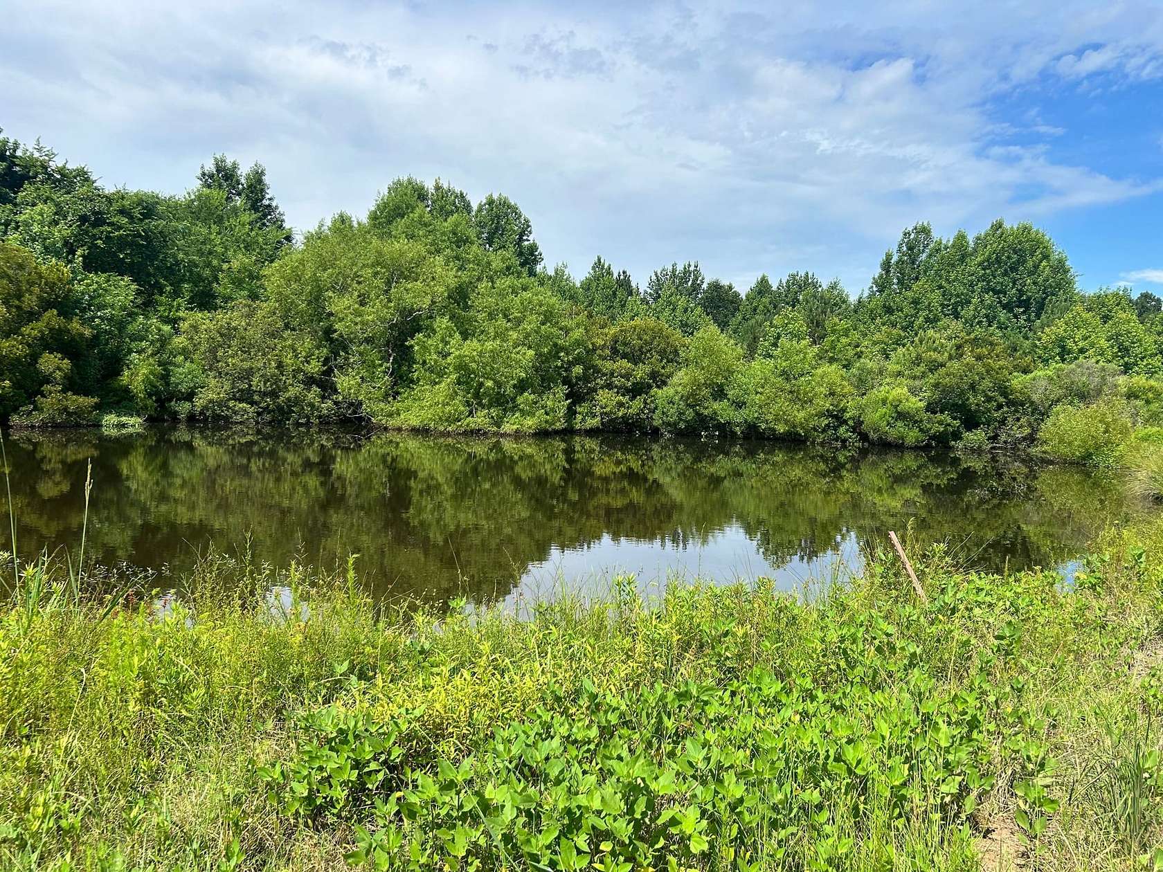 25 Acres of Recreational Land for Sale in Panola, Alabama