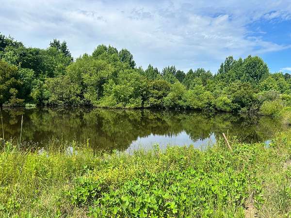 25 Acres of Recreational Land for Sale in Panola, Alabama