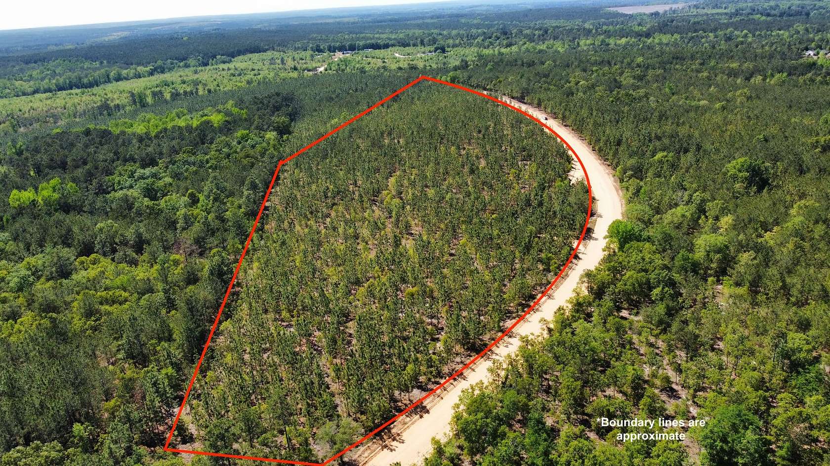 19.3 Acres of Land for Sale in Patrick, South Carolina
