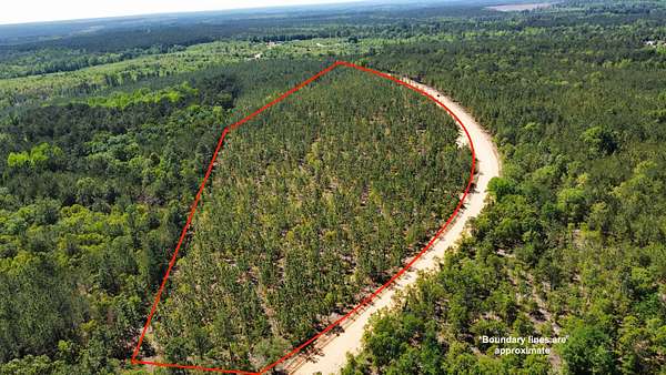 19.3 Acres of Land for Sale in Patrick, South Carolina