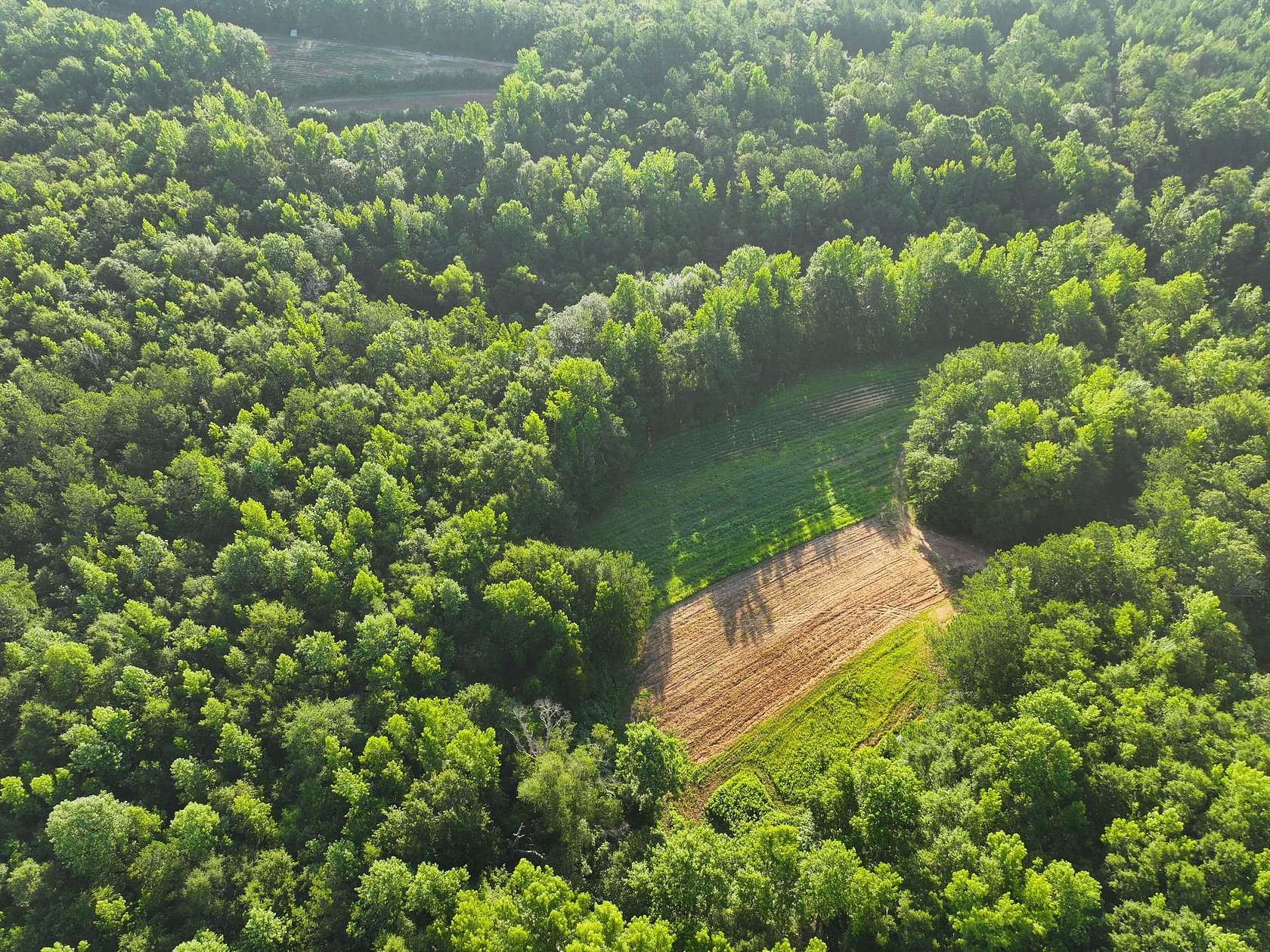 34 Acres of Land for Sale in Marbury, Alabama