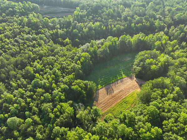 34 Acres of Land for Sale in Marbury, Alabama