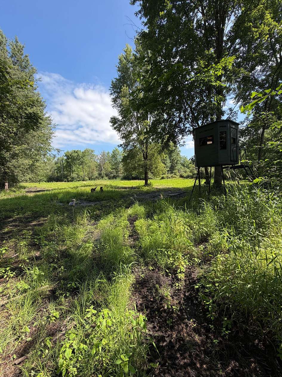 40 Acres of Recreational Land for Sale in White Lake, Michigan