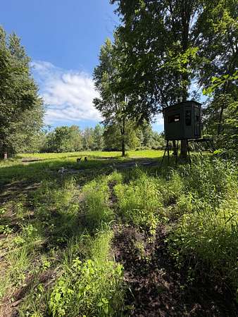 40 Acres of Recreational Land for Sale in White Lake, Michigan