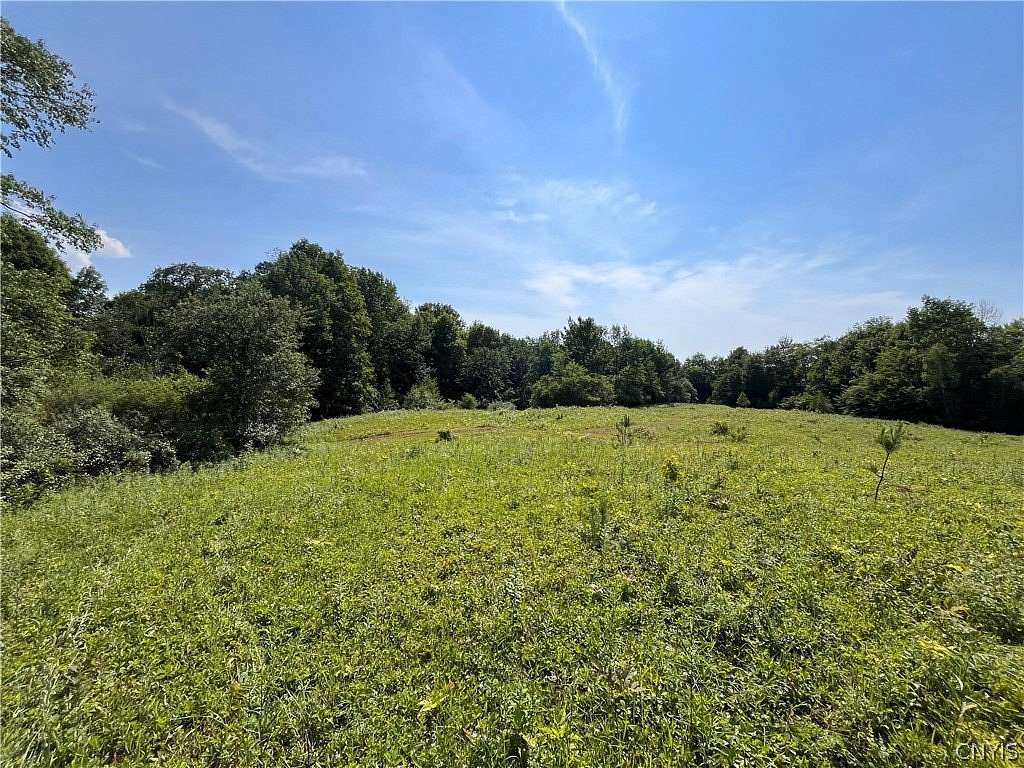 25 Acres of Land for Sale in Lacona, New York