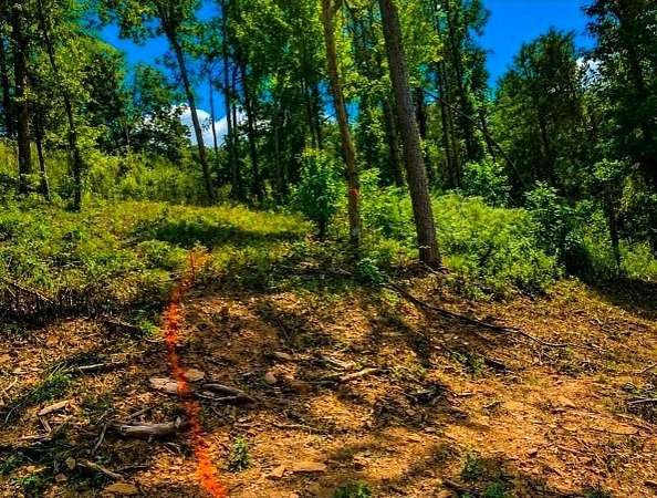 2.78 Acres of Residential Land for Sale in Marblehill, Georgia