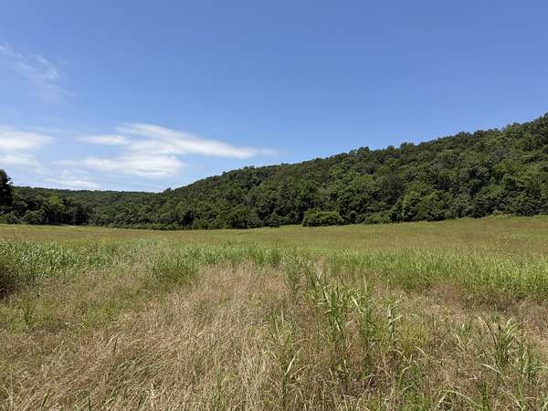6 Acres of Land for Sale in Tecumseh, Missouri
