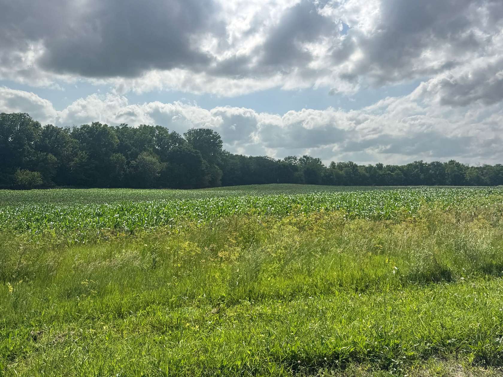 117 Acres of Land for Sale in Keosauqua, Iowa