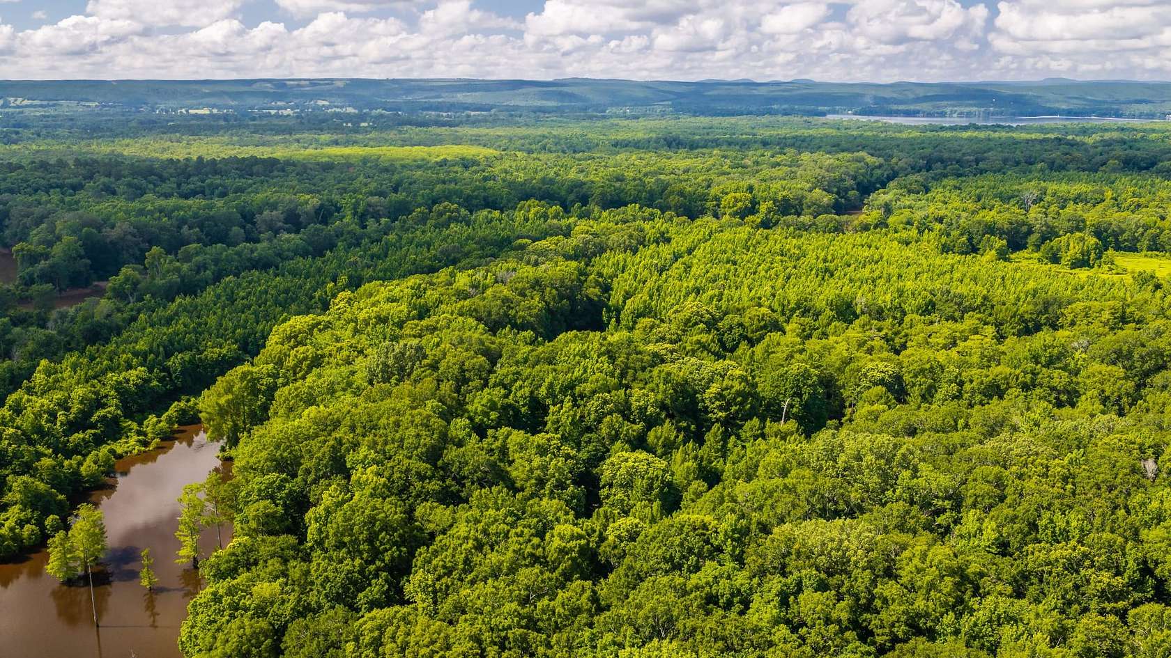 275 Acres of Land for Sale in Houston, Arkansas