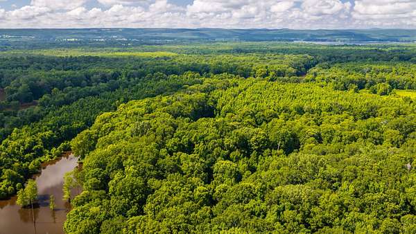 275 Acres of Land for Sale in Houston, Arkansas