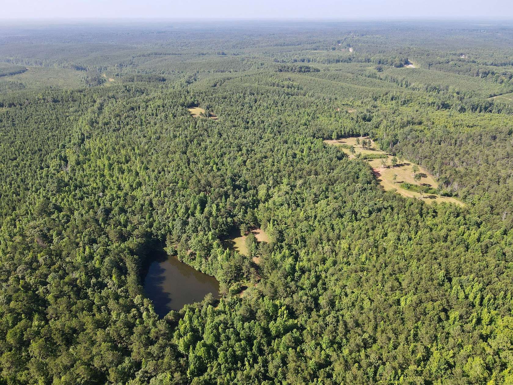88 Acres of Recreational Land for Sale in Cragford, Alabama