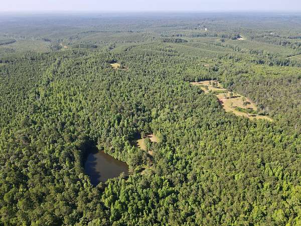 88 Acres of Recreational Land for Sale in Cragford, Alabama