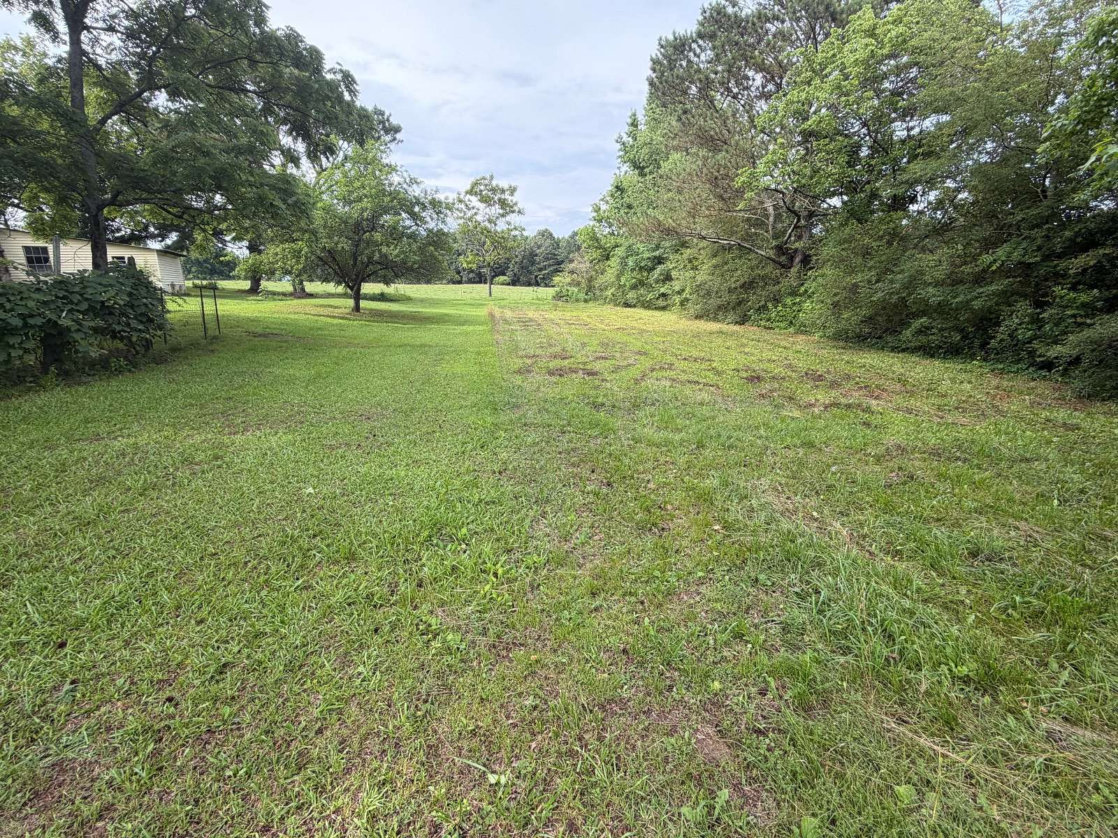 4.5 Acres of Land for Sale in Pisgah, Alabama